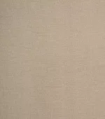 تیشرت کرم سیر - Image 3