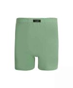 شورت مردانه پادار سبز سدری