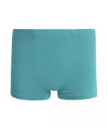 شورت مردانه نیم پا سبز روشن